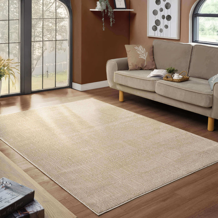 Neutral Rugs