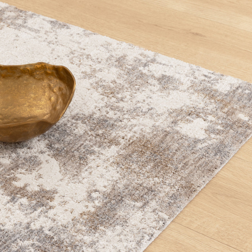 Alba A200 Grey Beige Distressed Rug – view 5