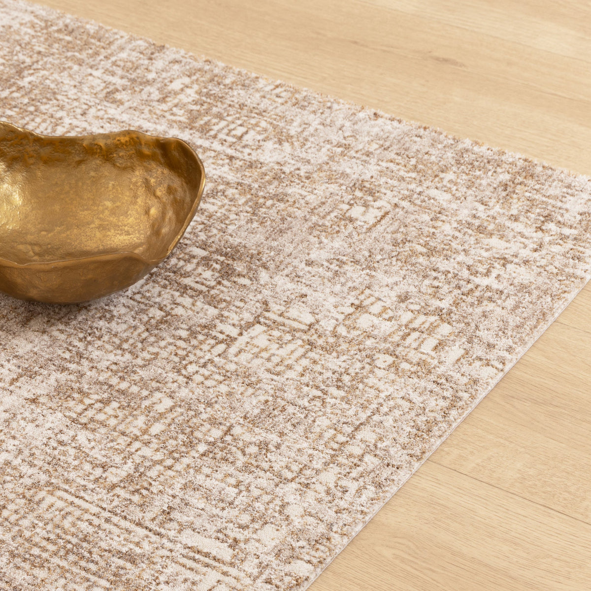 Alba A300 Beige Distressed Rug – view 5