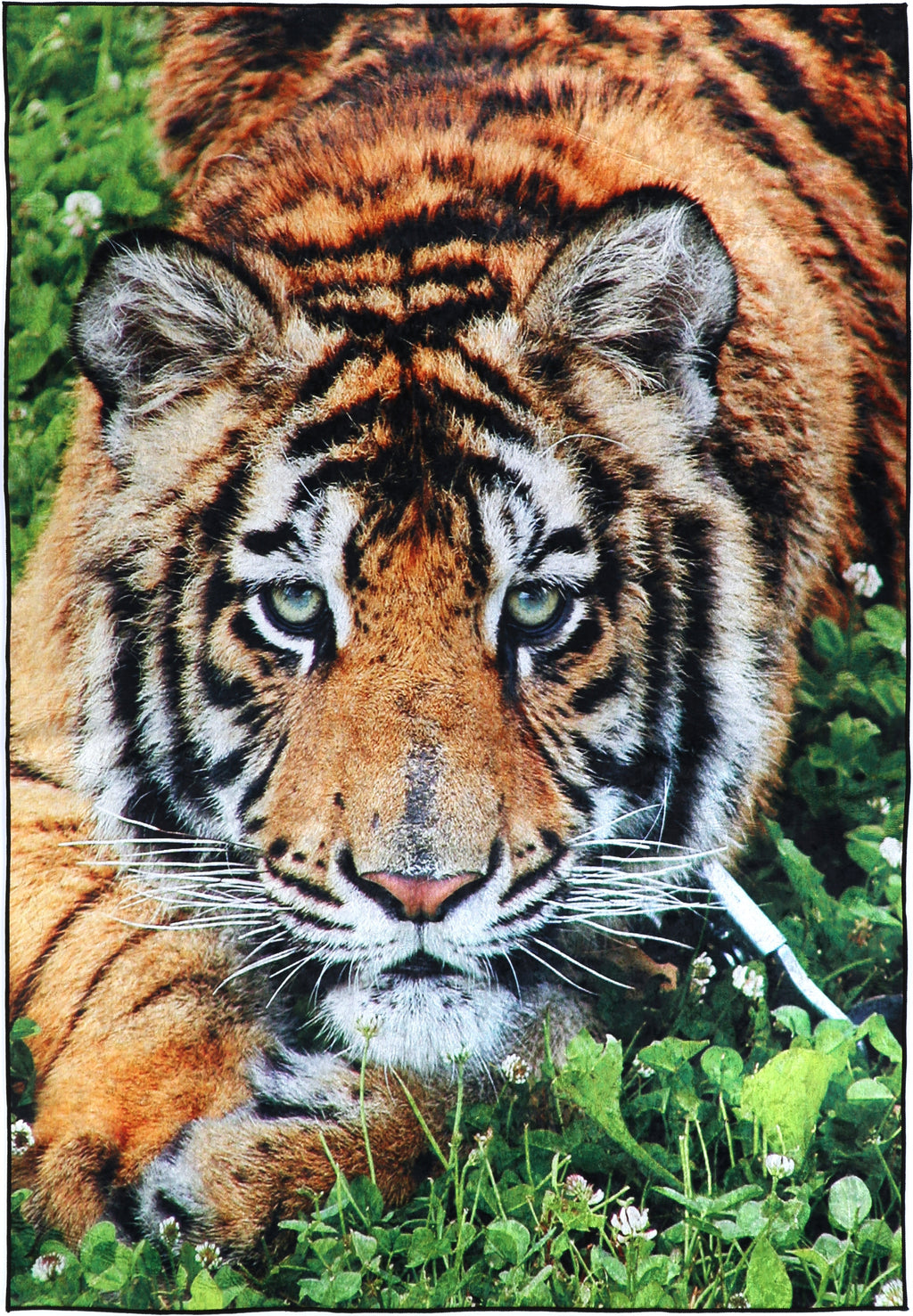 Angelic Tiger Non-Slip Rug - ANGE06 – view 2