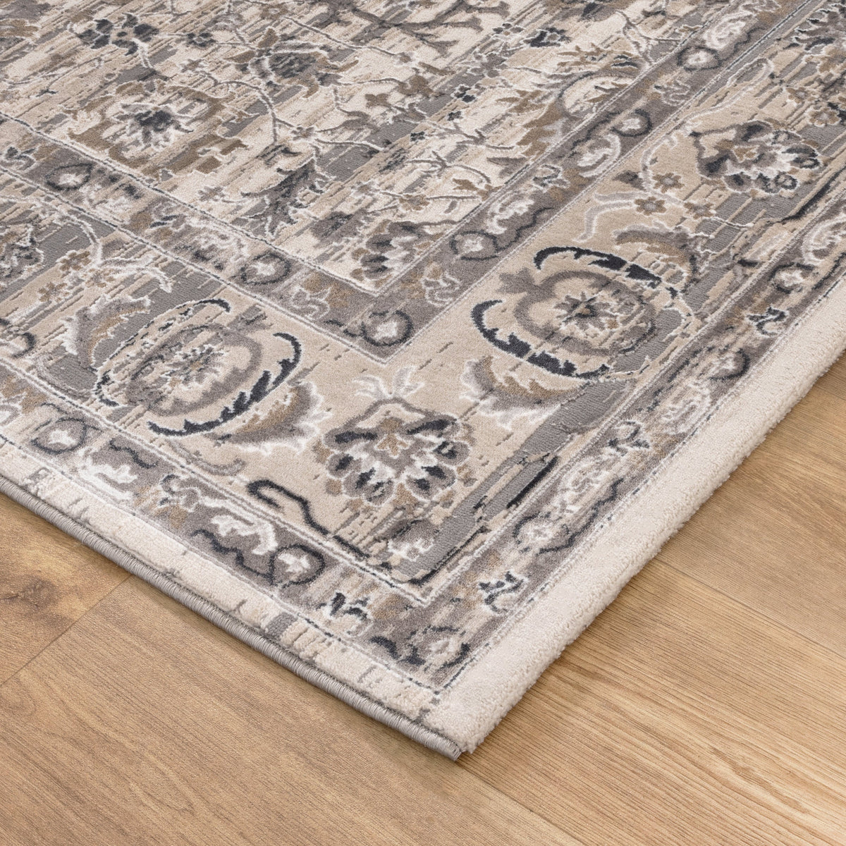Atina Distressed Transitional Beige Grey Rug - AT05 – view 3