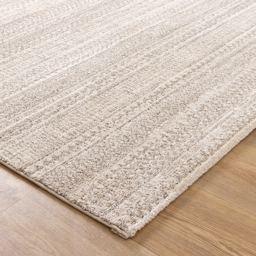 Clara Distressed Tribal Beige Rug - C101 – view 3