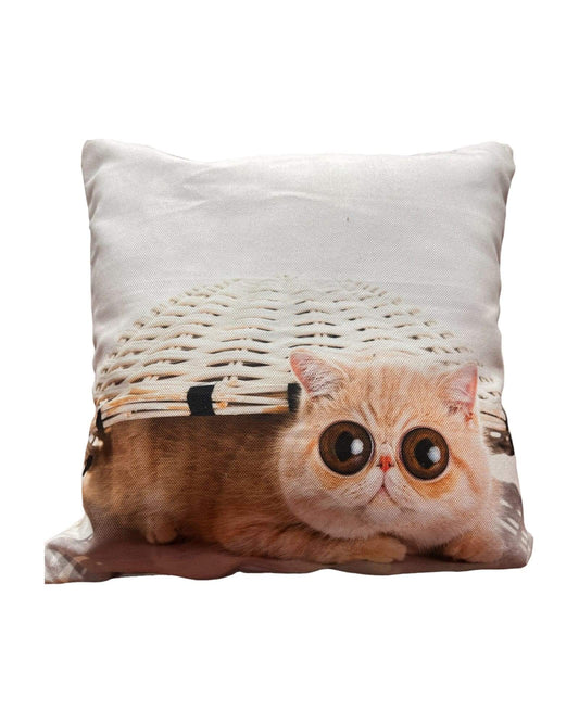 Cat Design Cushion (Googly Cat)-Cat Cushions, Cat Cushion Gifts, Gift Ideas, Christmas Gift ideas-Bazaar G Rugs N Gifts