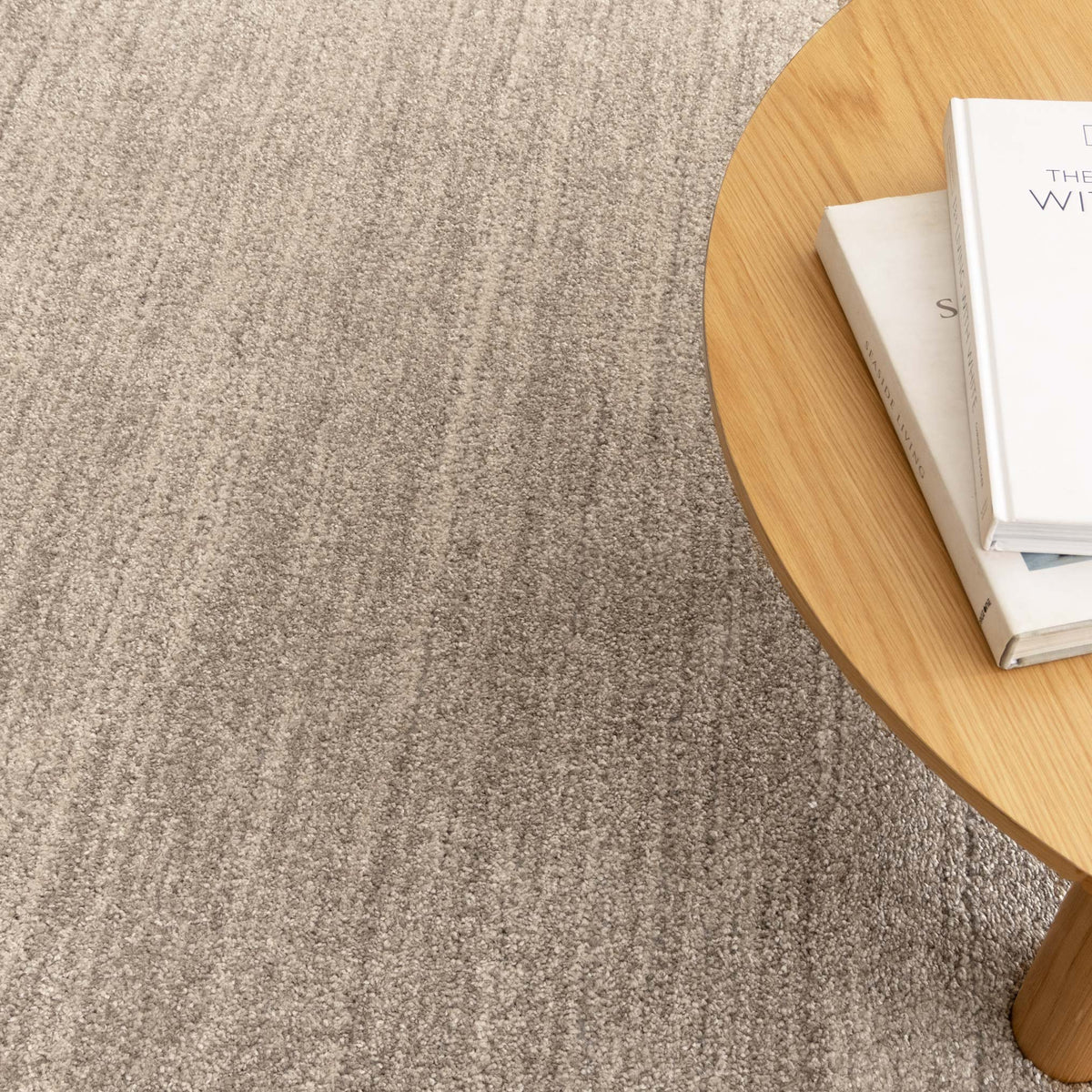 Dorado D010 Beige Minimalist Rug – view 5