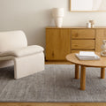 Dorado D011 Grey Minimalist Rug styled with furniture