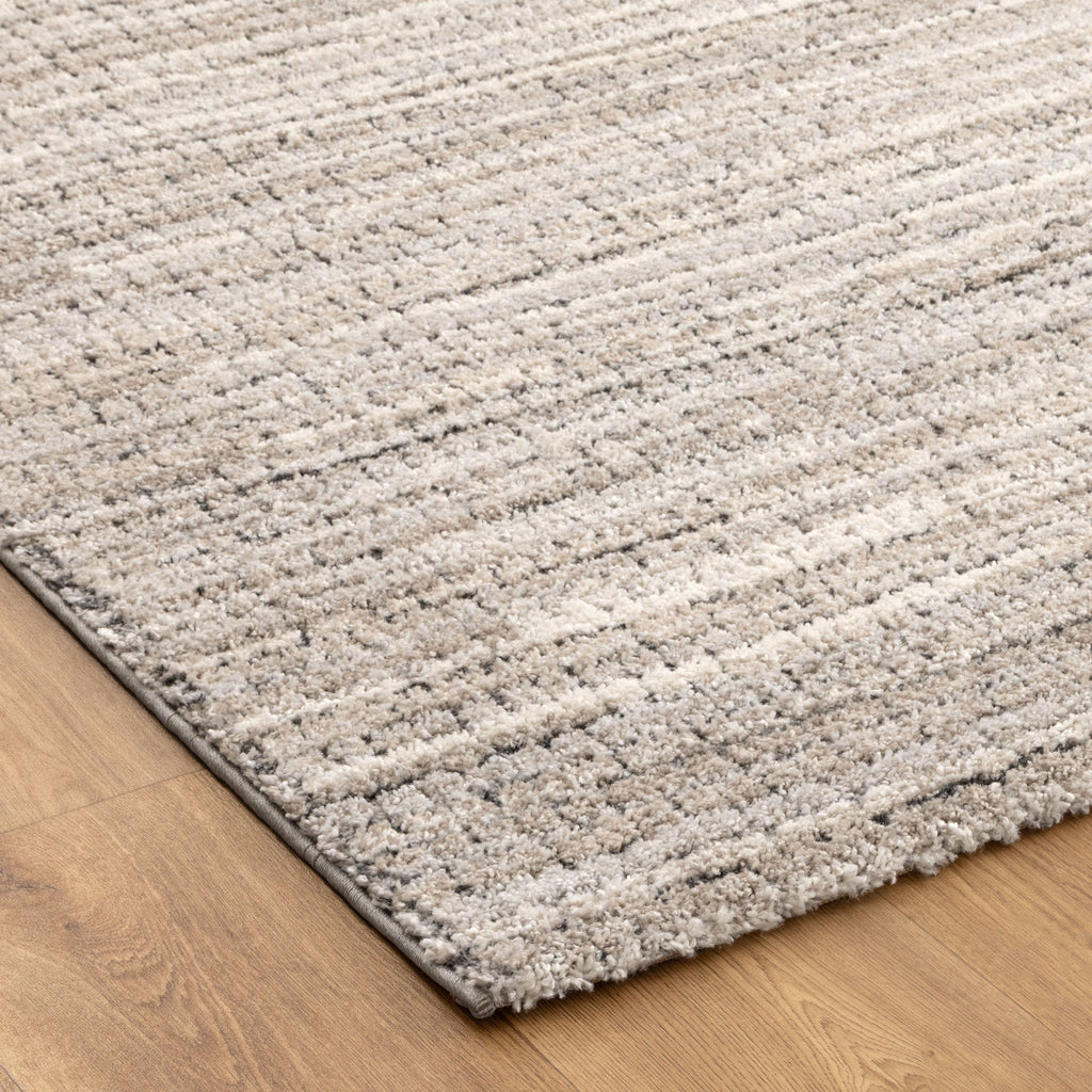 Dorado D012 Grey Beige Textured Border Rug – view 3