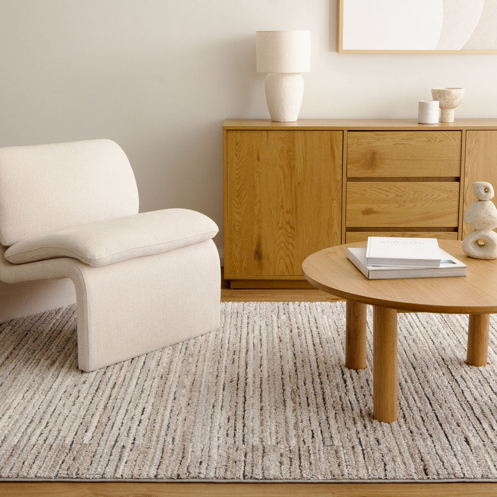 Dorado D012 Grey Beige Textured Border Rug styled with furniture