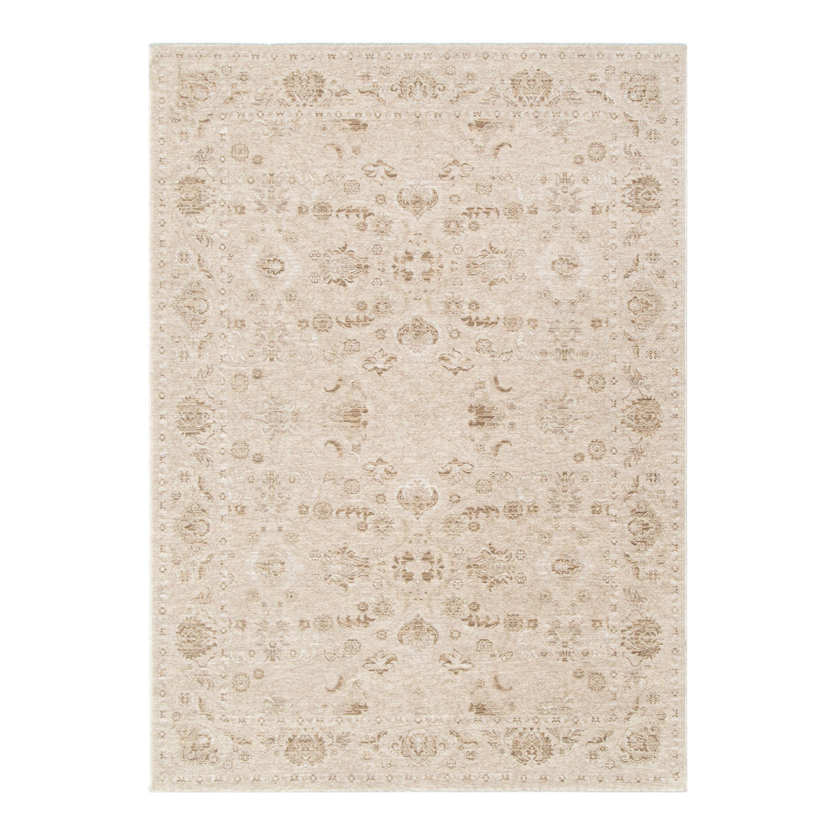 Delphine D103 Warm Biscotti Beige Vintage Rug – view 2