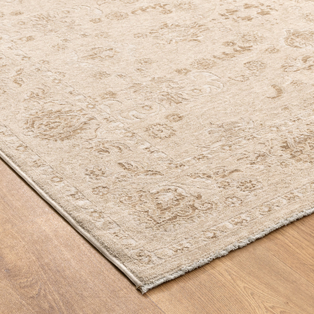 Delphine D103 Warm Biscotti Beige Vintage Rug – view 3