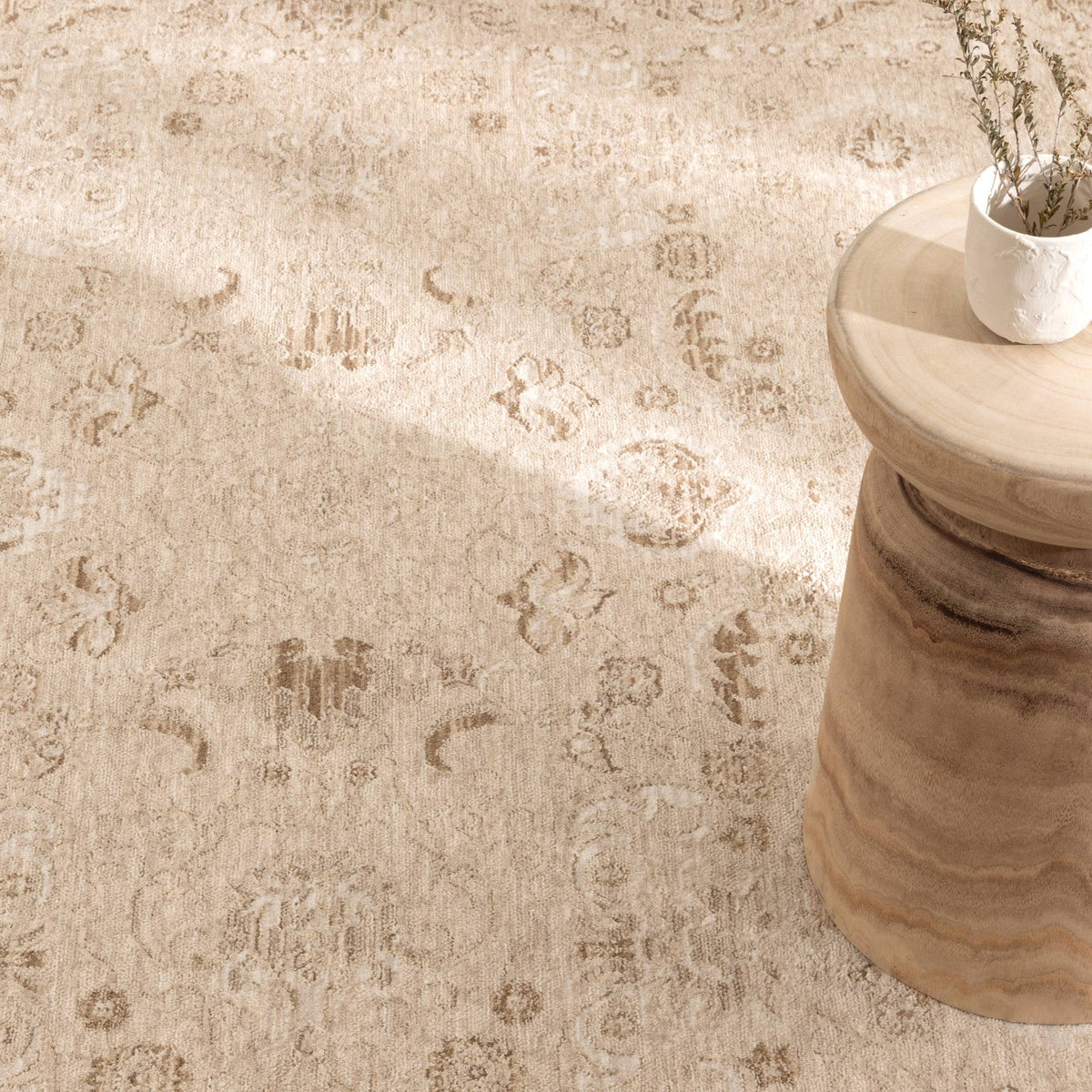 Delphine D103 Warm Biscotti Beige Vintage Rug – view 5