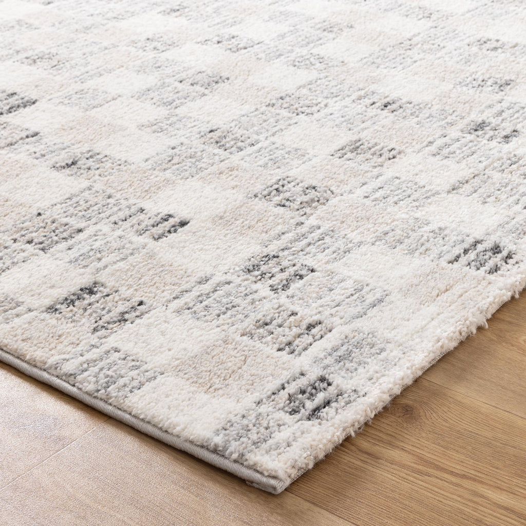 Dorado Grey Beige Checkered Rug - D004 – view 3