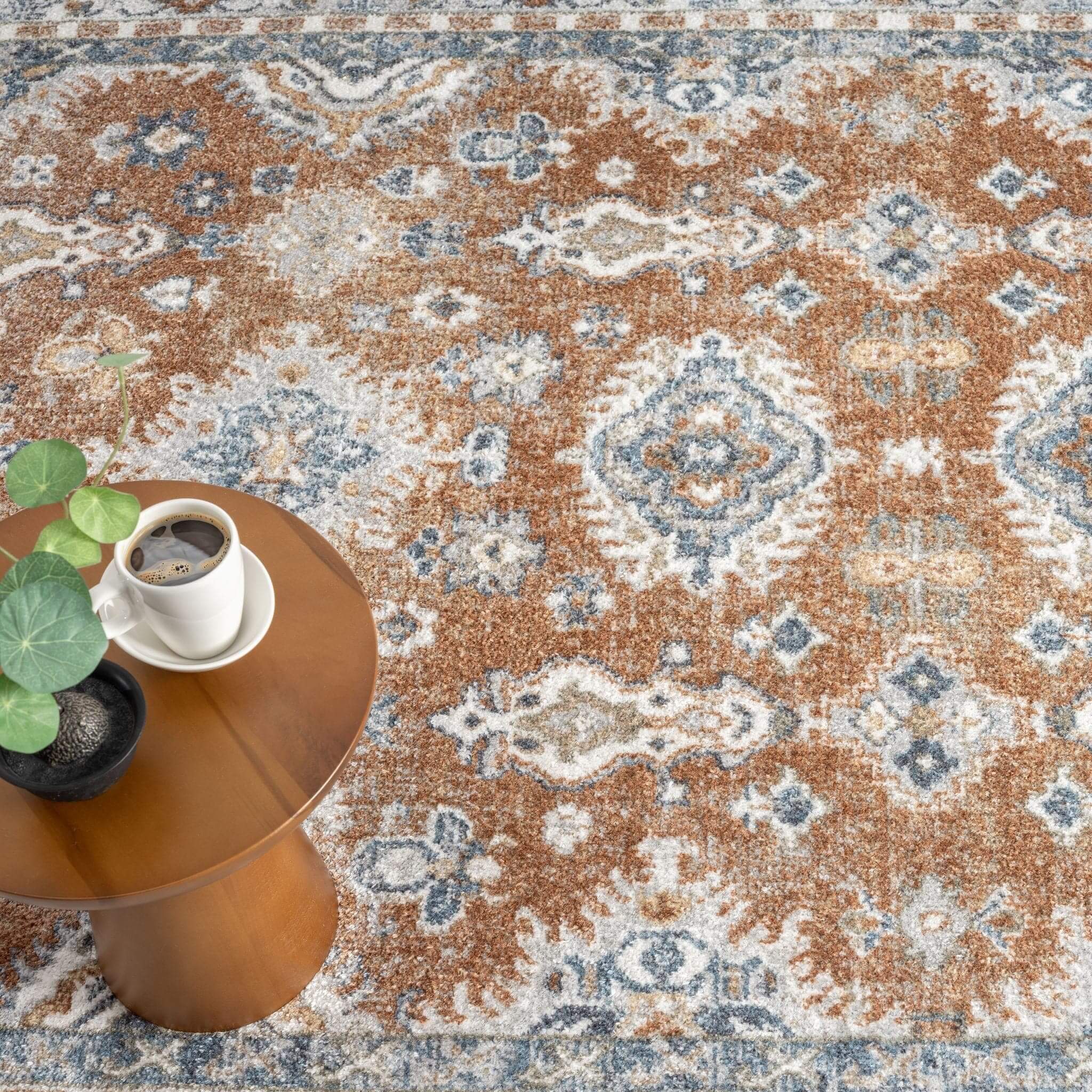 Easy Washable Rugs 367 Terra