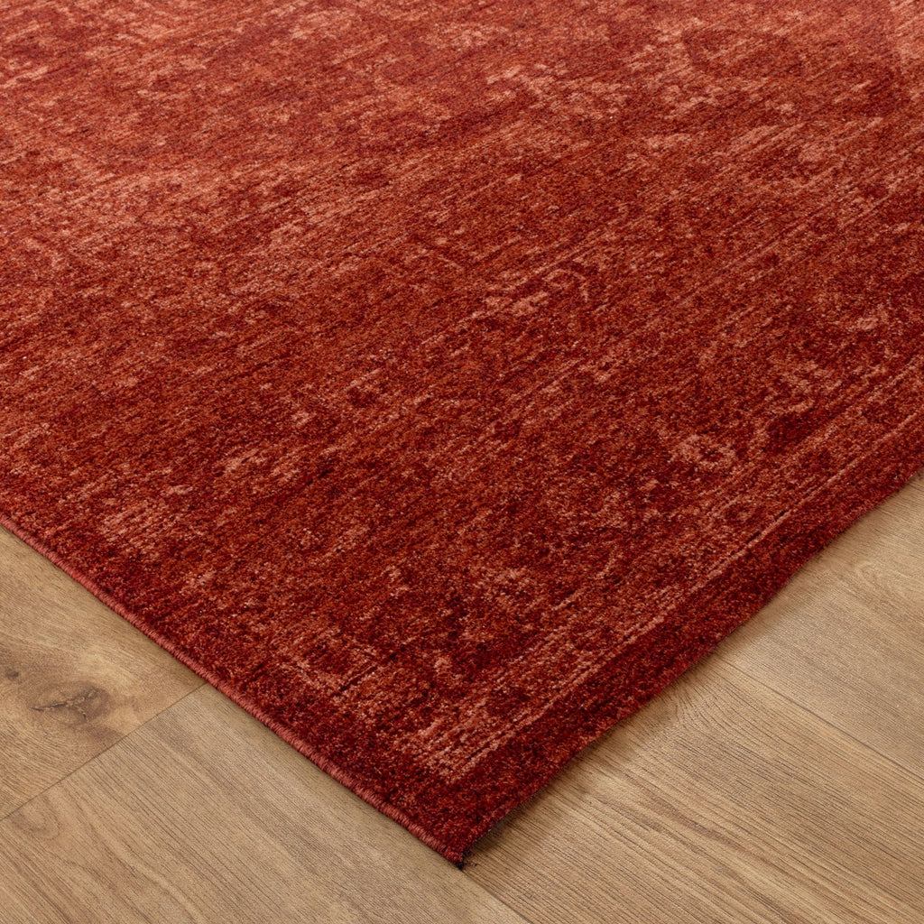 Heritage H101 Rust Distressed Medallion Rug – view 3
