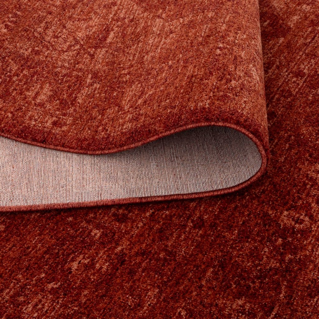 Heritage H101 Rust Distressed Medallion Rug – view 4