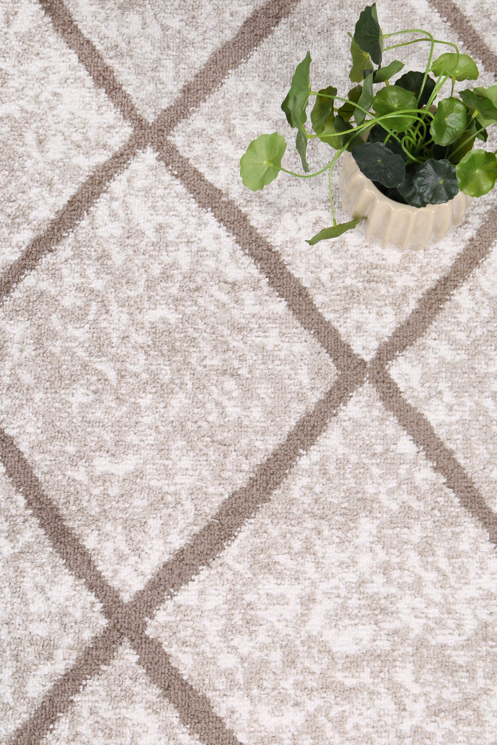 Kimberley Trellis Latte Contemporary Rug - 1LATT – view 6