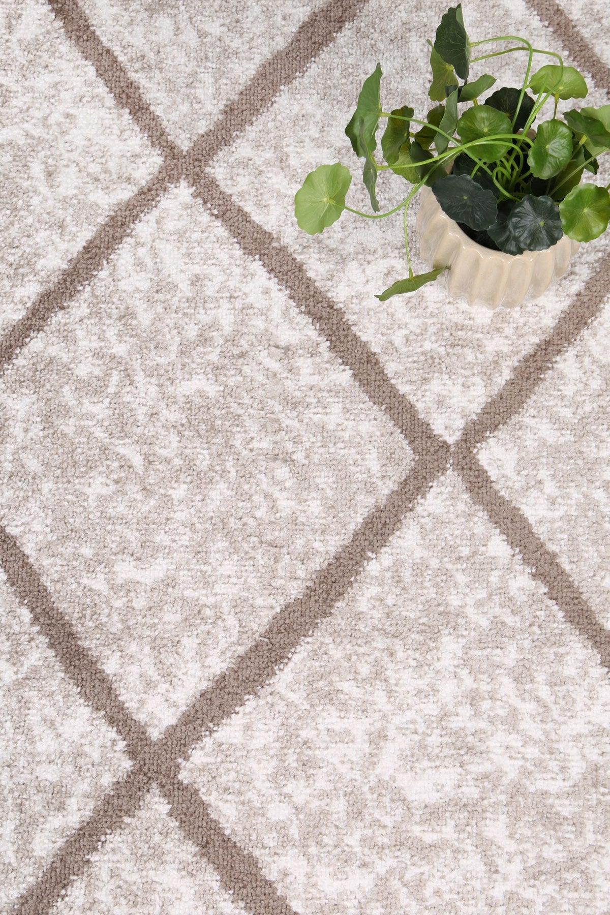 Kimberley Trellis Latte Contemporary Rug - 1LATT – view 6