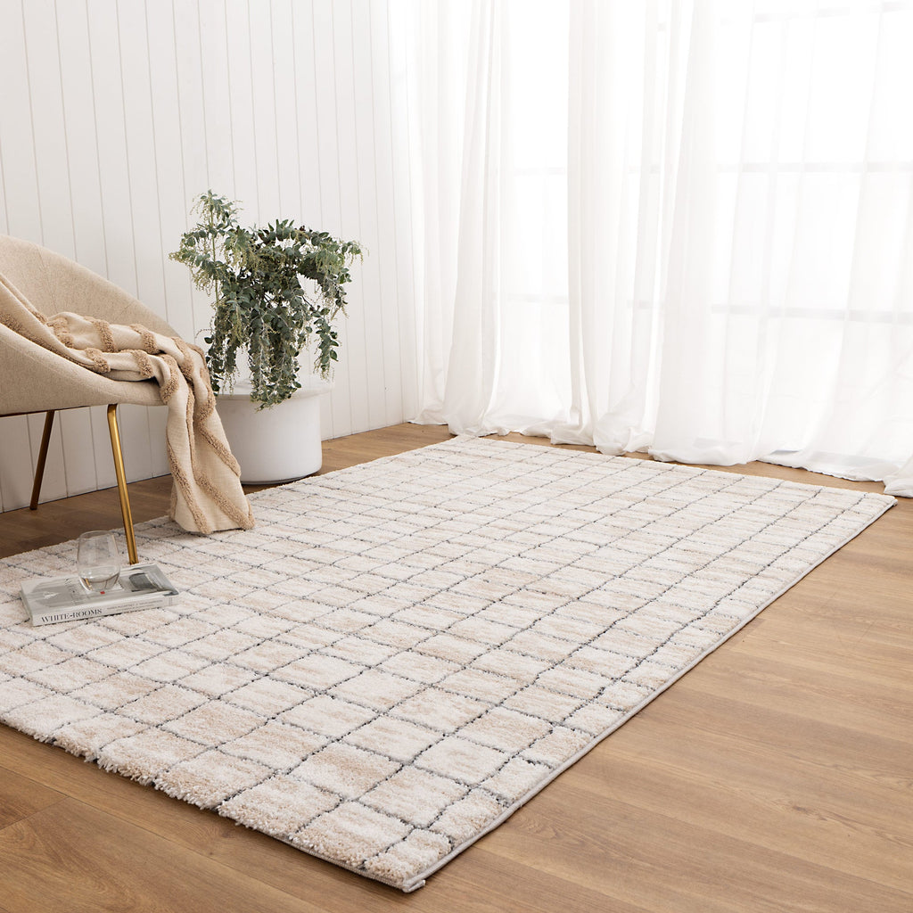 Nola Clean Lines Neutral Rug - N004 styled with furniture