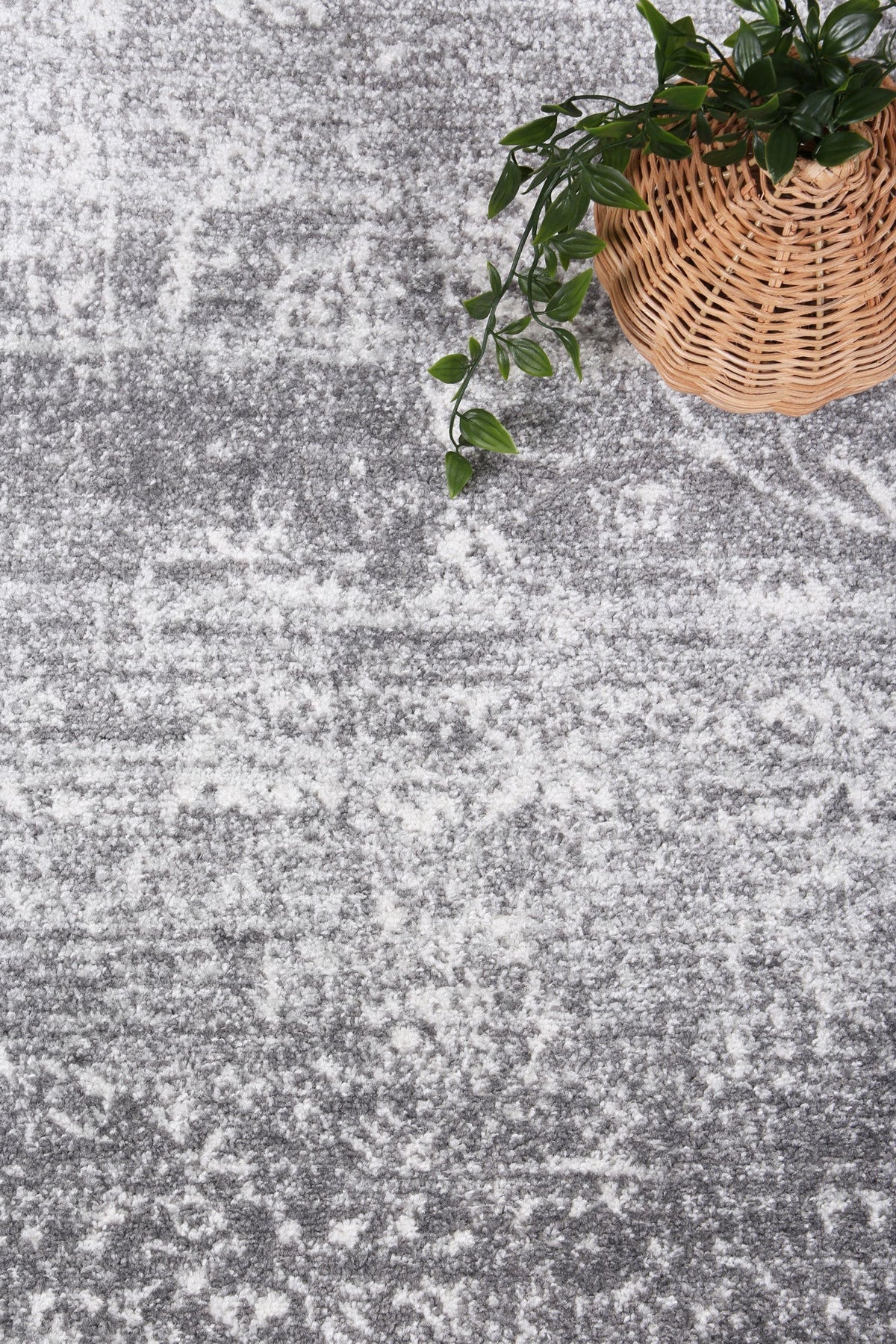 Provence Avignon Grey Traditional Rug - 015 – view 6