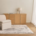 Sena S002 Beige Distressed Rug styled with furniture
