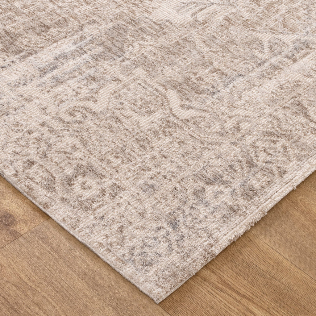 Solenne Beige & Blue Distressed Vintage Rug - S100 – view 3