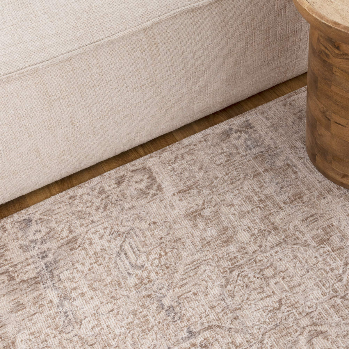 Solenne Beige & Blue Distressed Vintage Rug - S100 – view 5