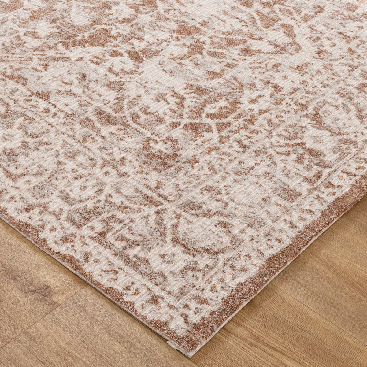 Solenne Beige & Rust Distressed Vintage Rug - S200 – view 3