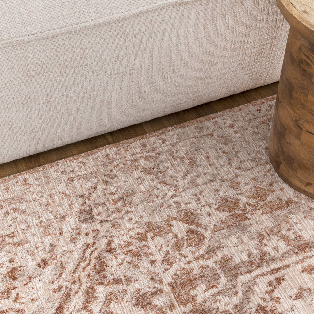 Solenne Beige & Rust Distressed Vintage Rug - S200 – view 5