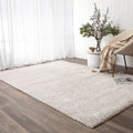Tender Dior Beige Shag Rug styled with furniture