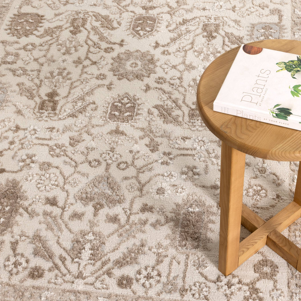 Sierra Beige Oriental Border Rug – view 5