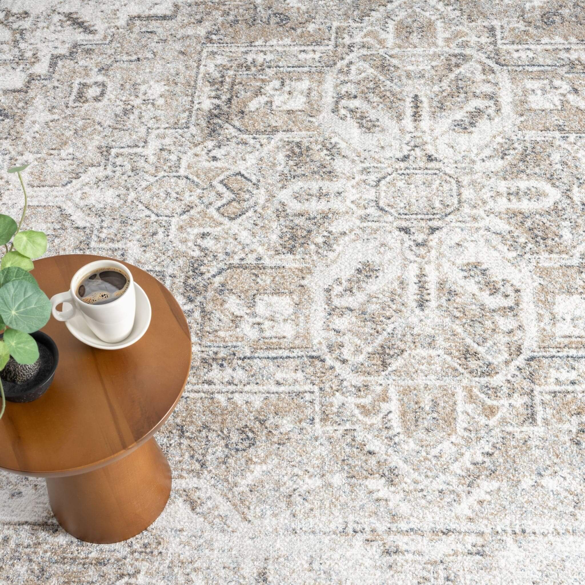 Easy Washable Rugs 361 Earth