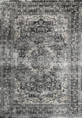 Bellavista Teresa Charcoal Traditional Rug - 14654 95 — room or full rug view