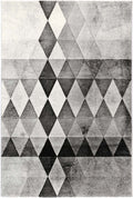Lumina SAPP03 GREY (21420 095) — room or full rug view