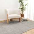Forma Dimensions Grey Rug S005 — room or full rug view