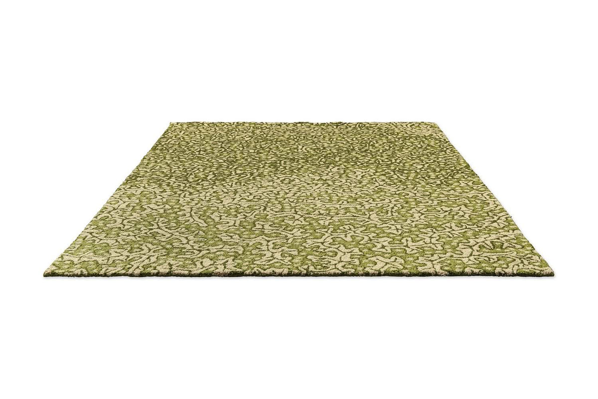 Sanderson Tartufo Olive Outdoor Rug 446007